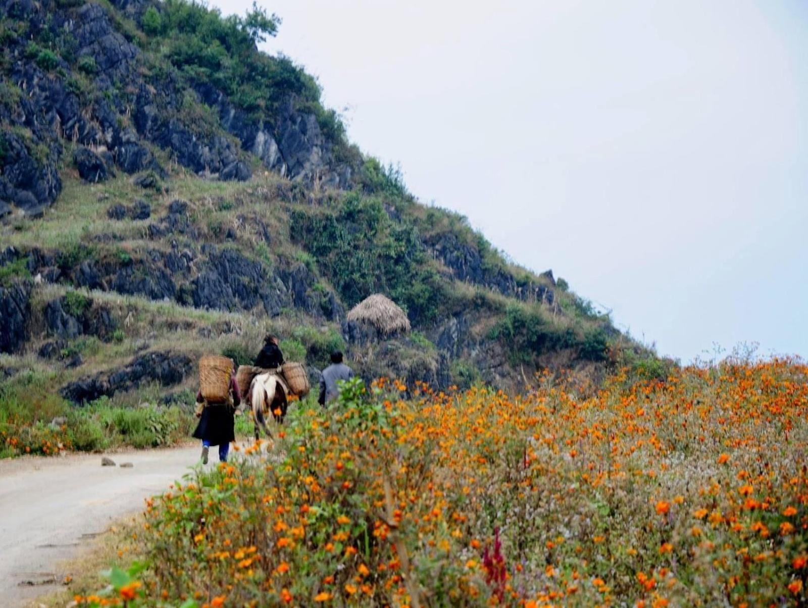 Hang Thuong Hostel - Motorbikes And Tour Ha Giang Exteriér fotografie